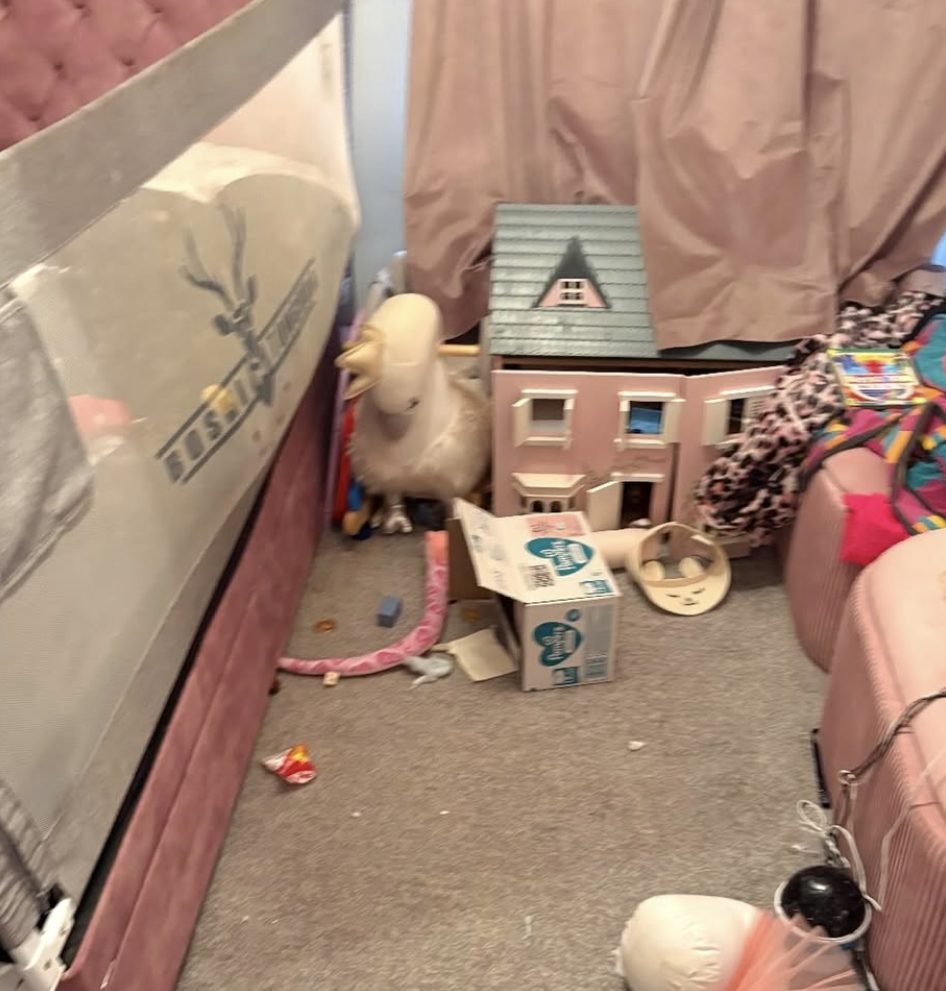 Child&rsquo;s bedroom cleaned and reset before Crystal Cleaners worked on it