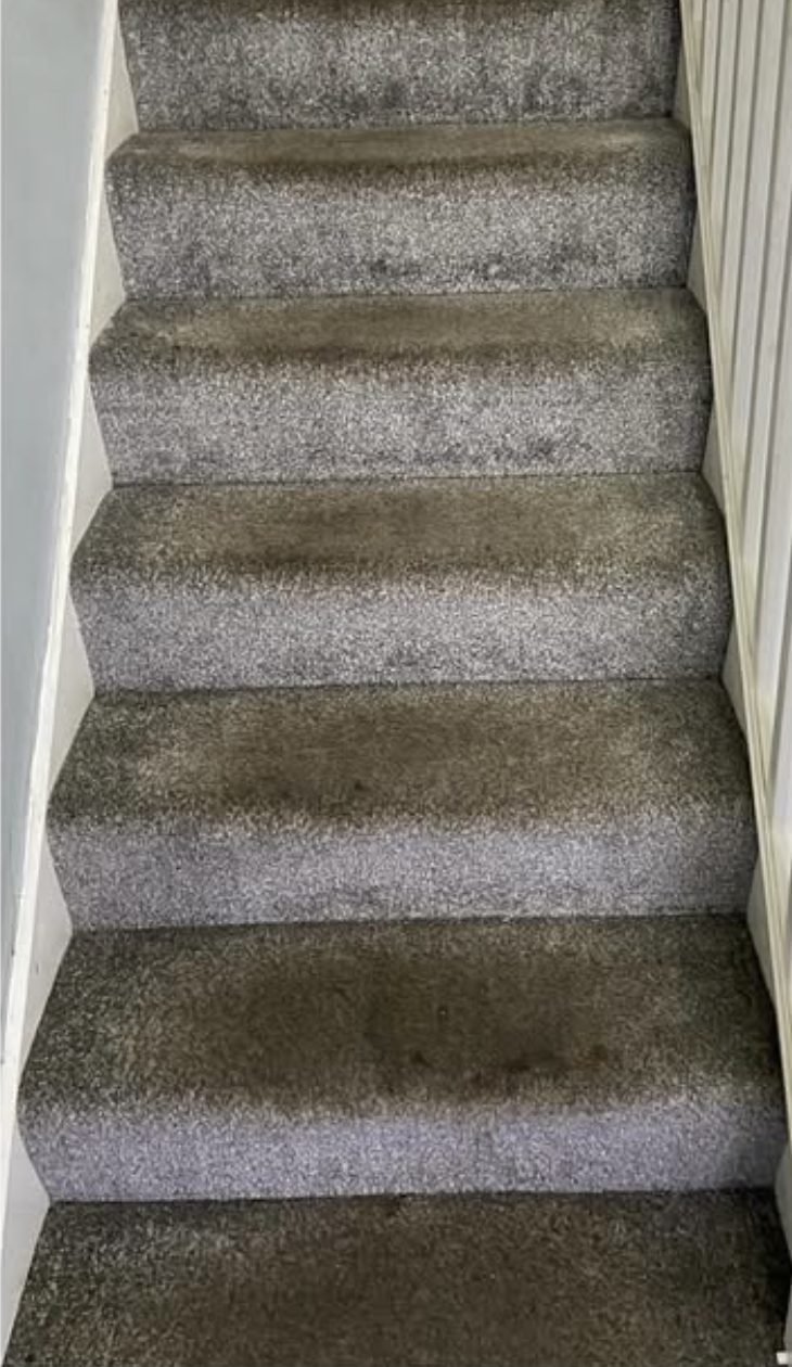 Stair carpet with the traffic lane lifted out before Crystal Cleaners worked on it